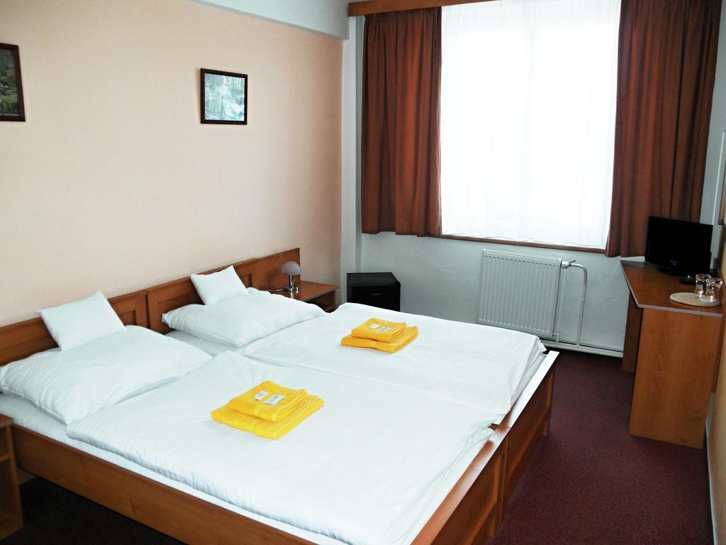 Hotel Vysocina Chotebor Room photo